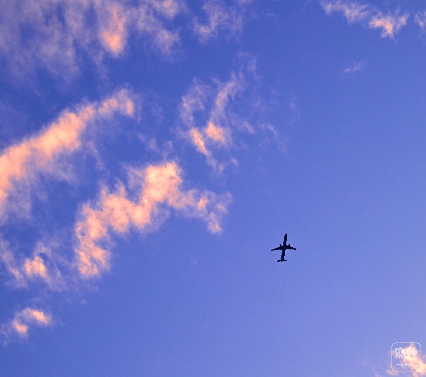 DSC_6556_����.jpg