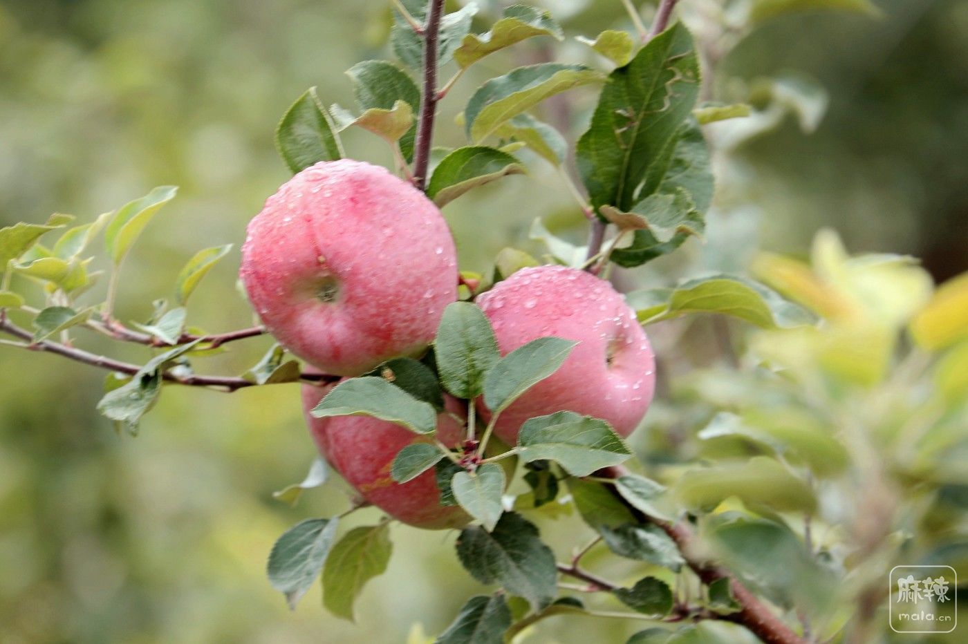 0F5A8901.JPG