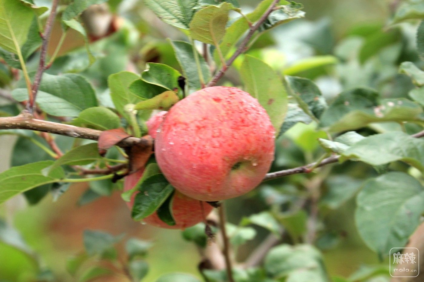0F5A8903.JPG