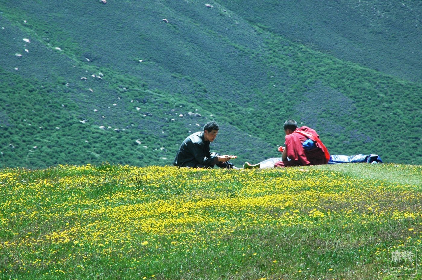DSC_0896.jpg