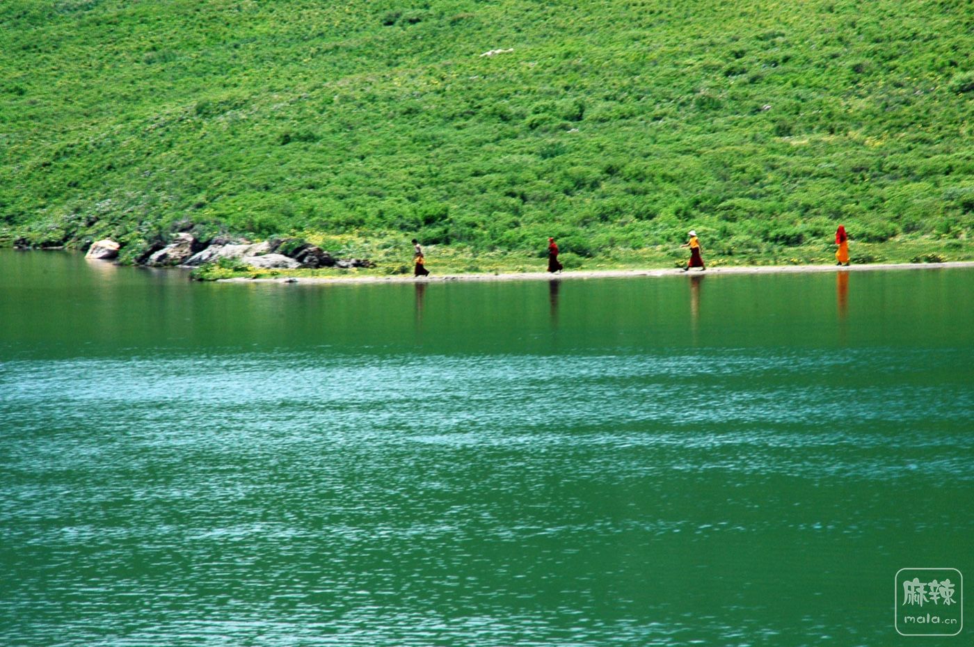 DSC_0924.jpg
