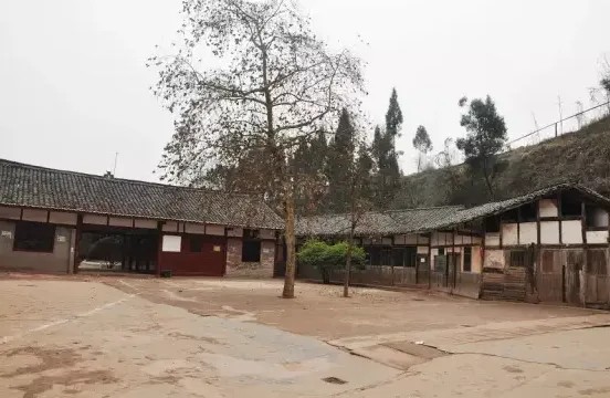 ΢��ͼƬ_20260305175820_1826_739.png