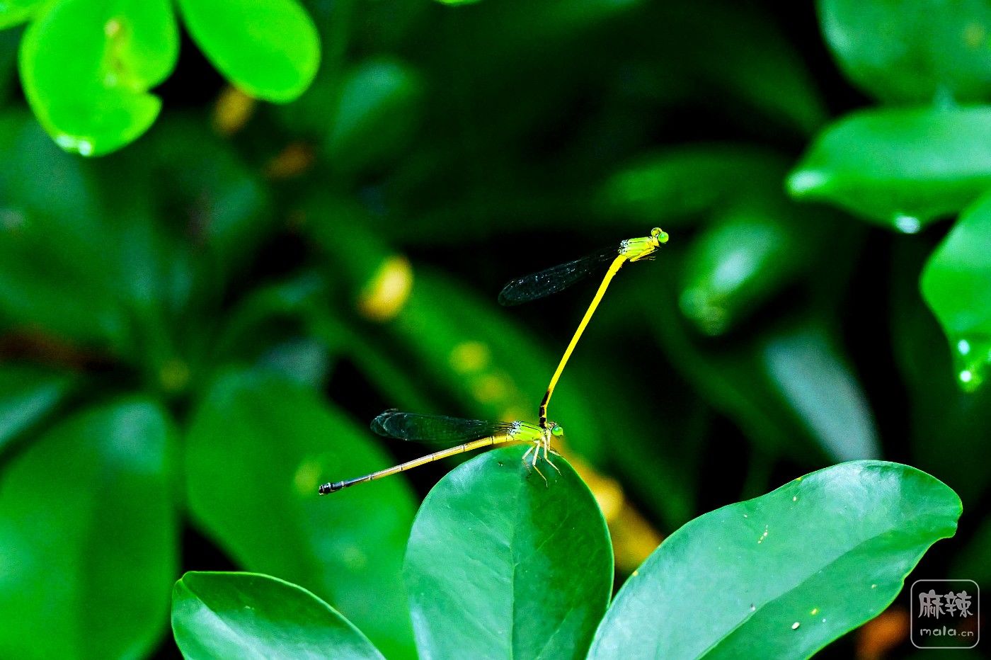 DSC_6228.JPG