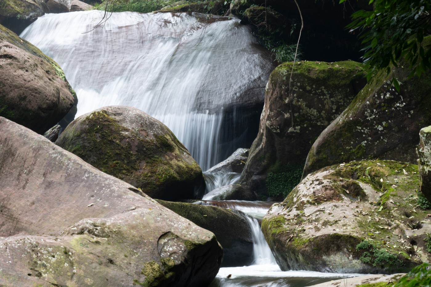 DSC_1433_1.JPG