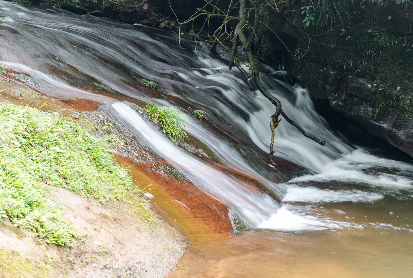 DSC_1379_1.JPG