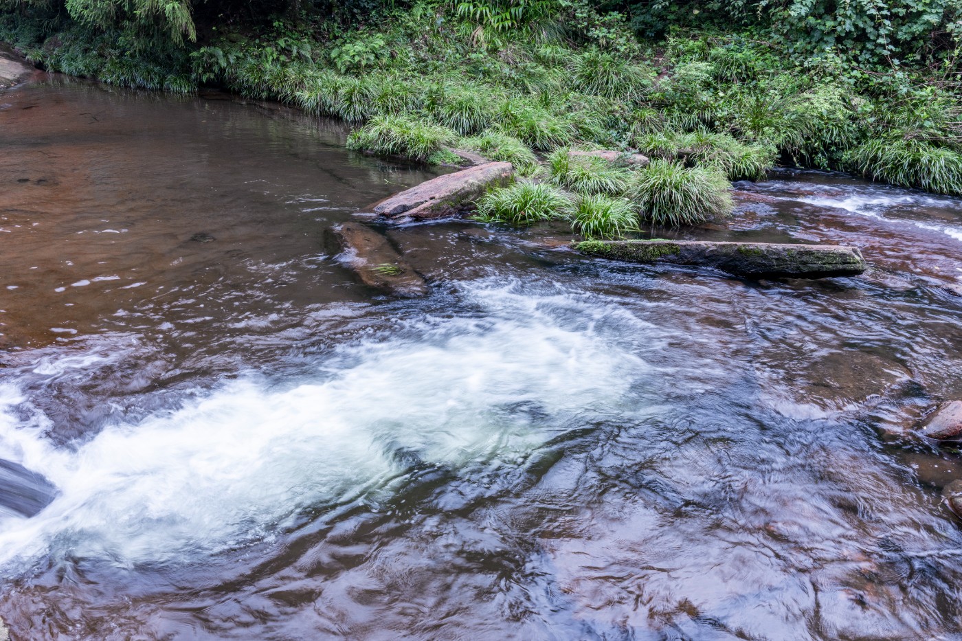 DSC_1348_1.JPG