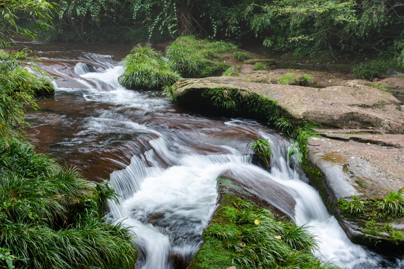 DSC_1361_1.JPG