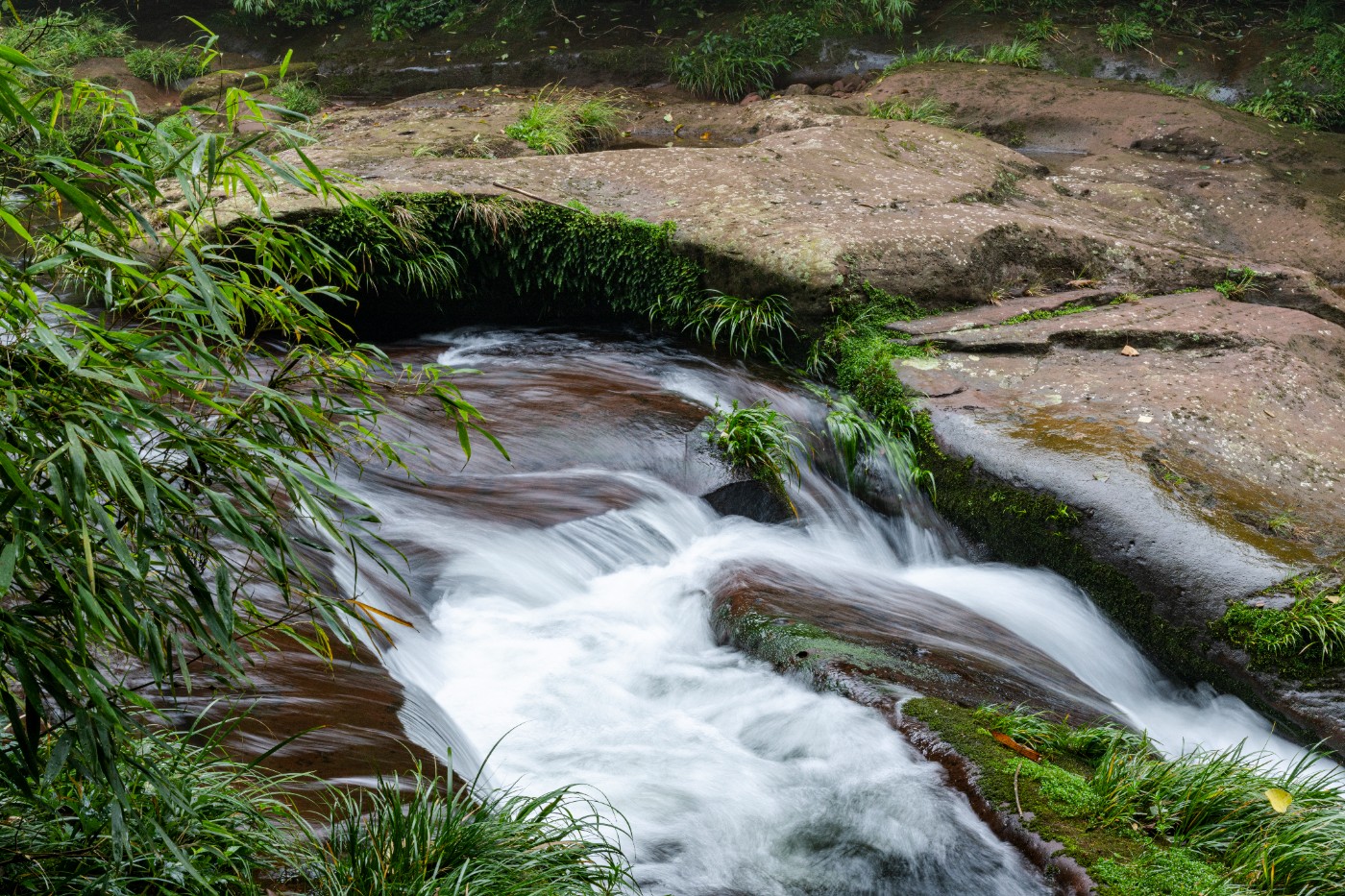 DSC_1364_1.JPG