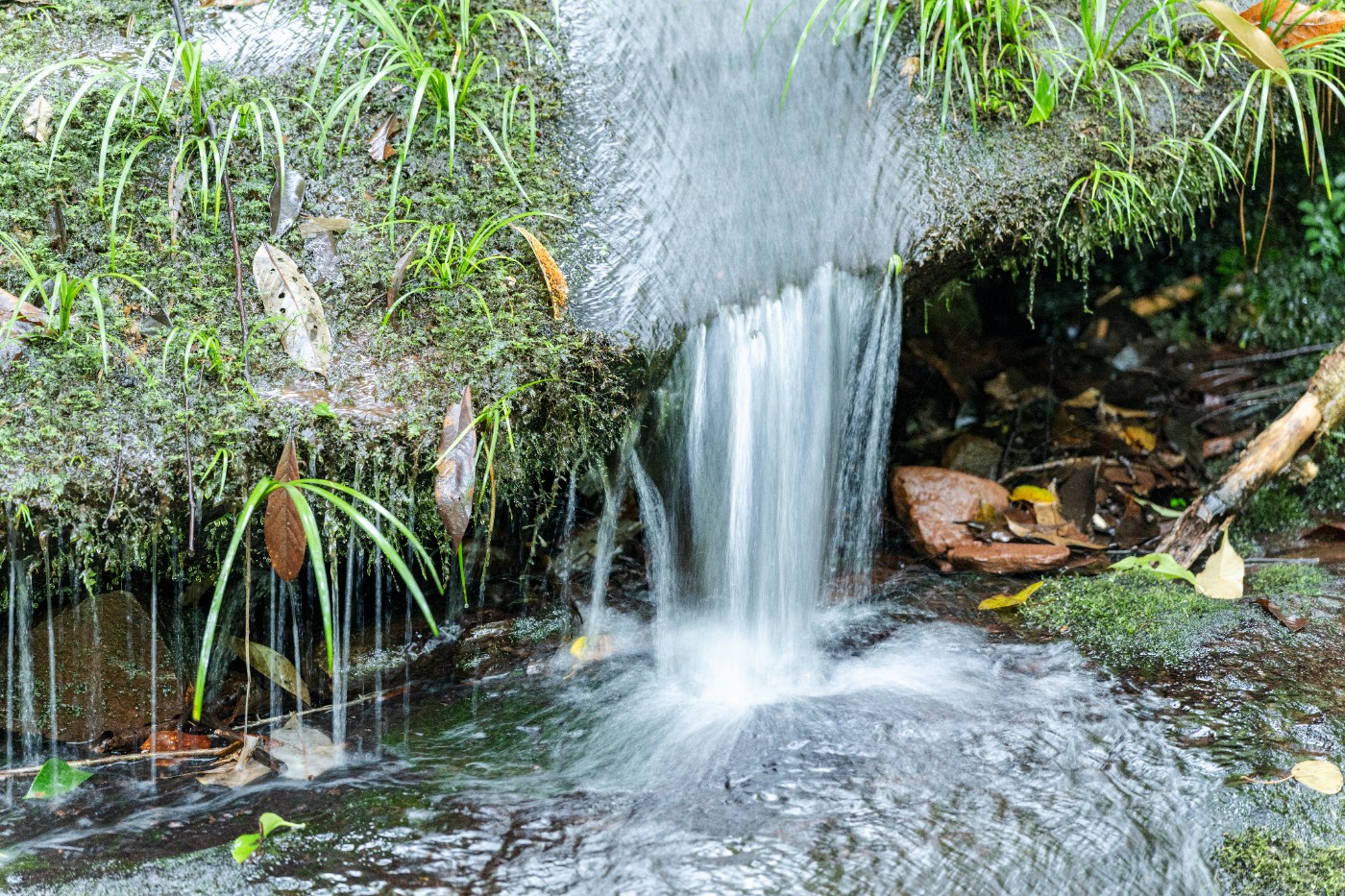 DSC_1366_1.JPG