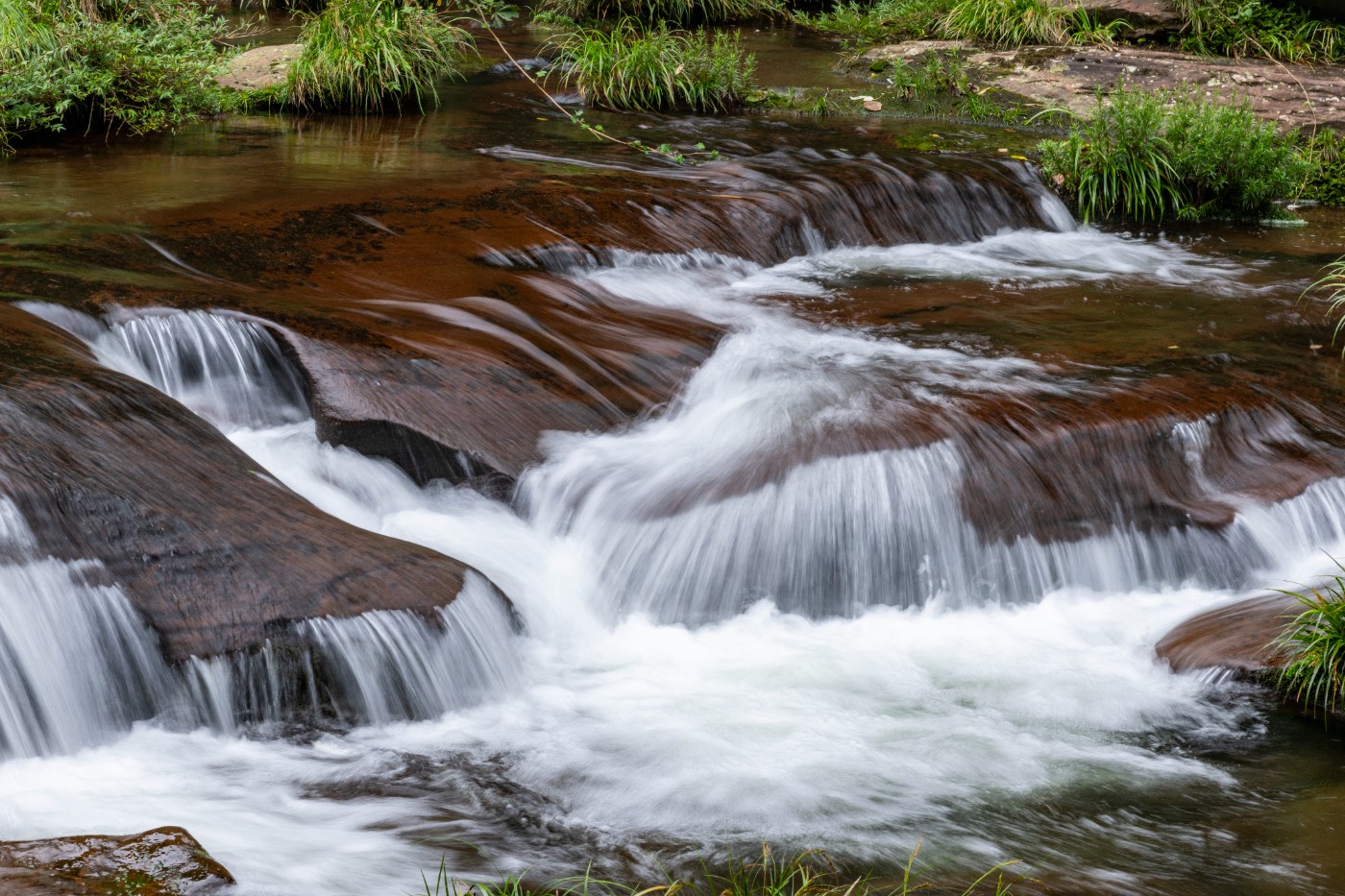 DSC_1367_1.JPG