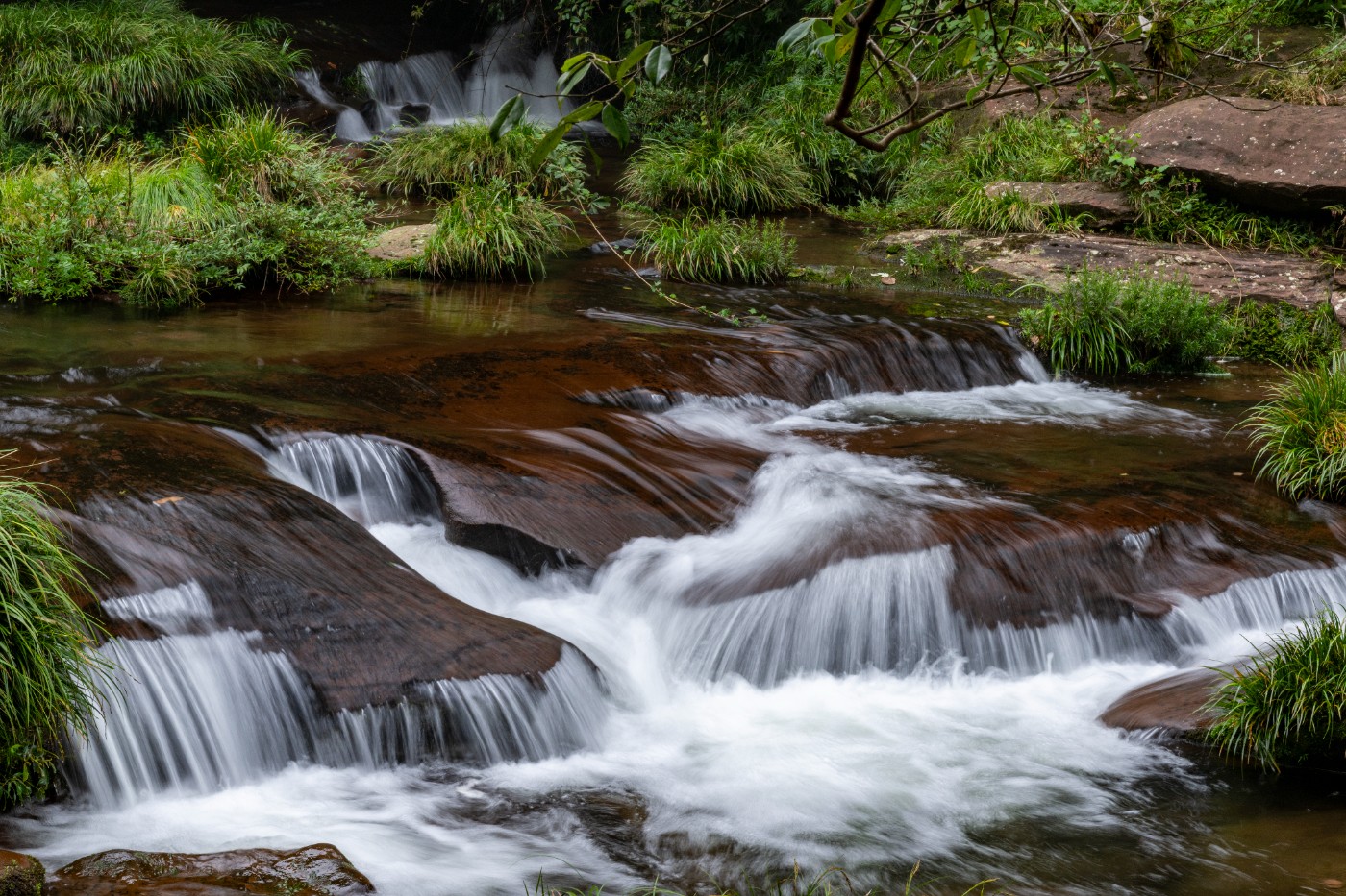 DSC_1368_1.JPG
