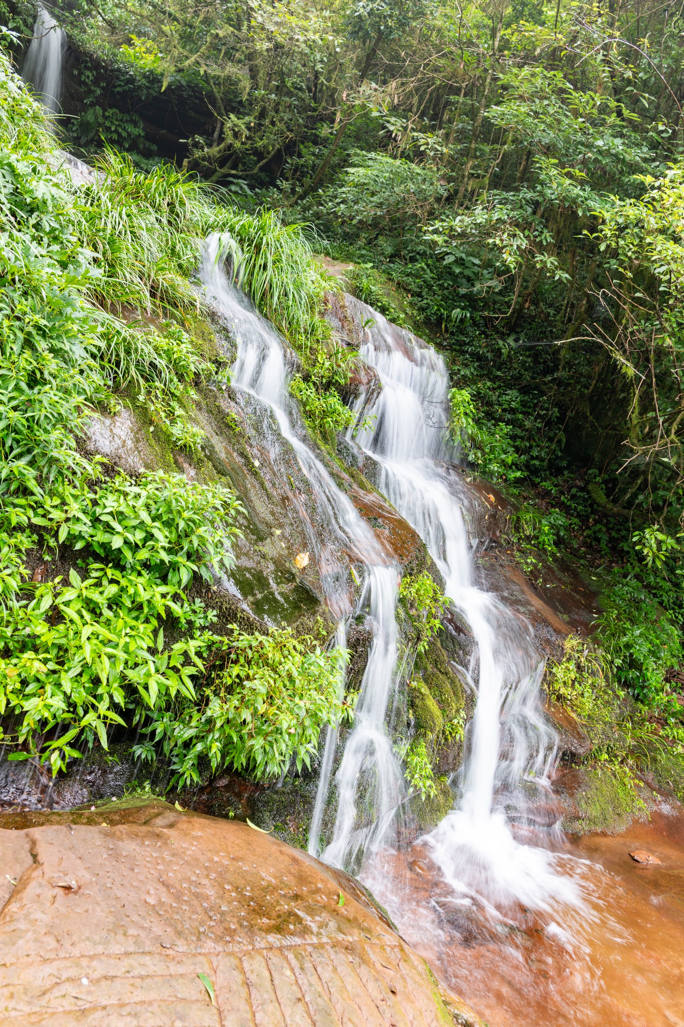 DSC_1371_1.JPG