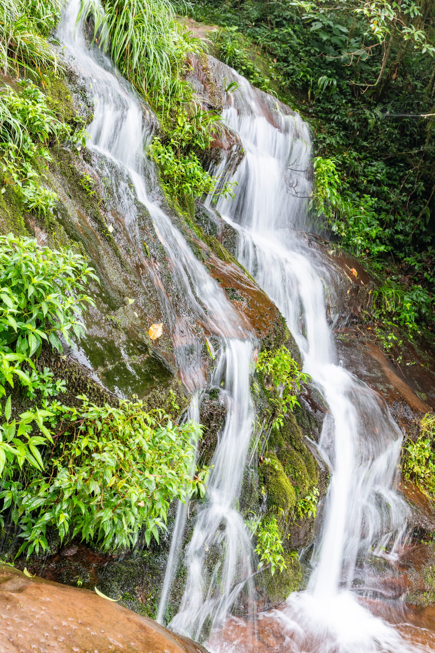 DSC_1372_2.JPG