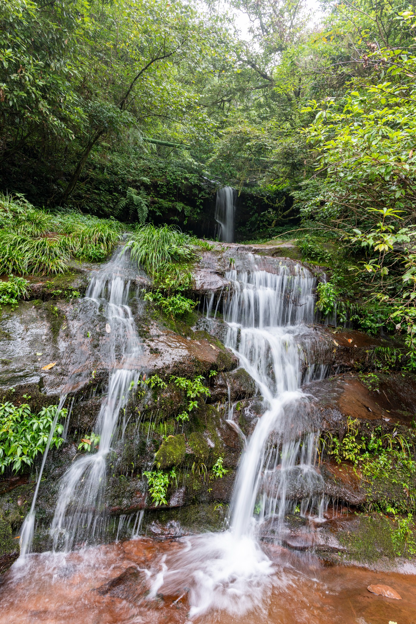 DSC_1373_1.JPG