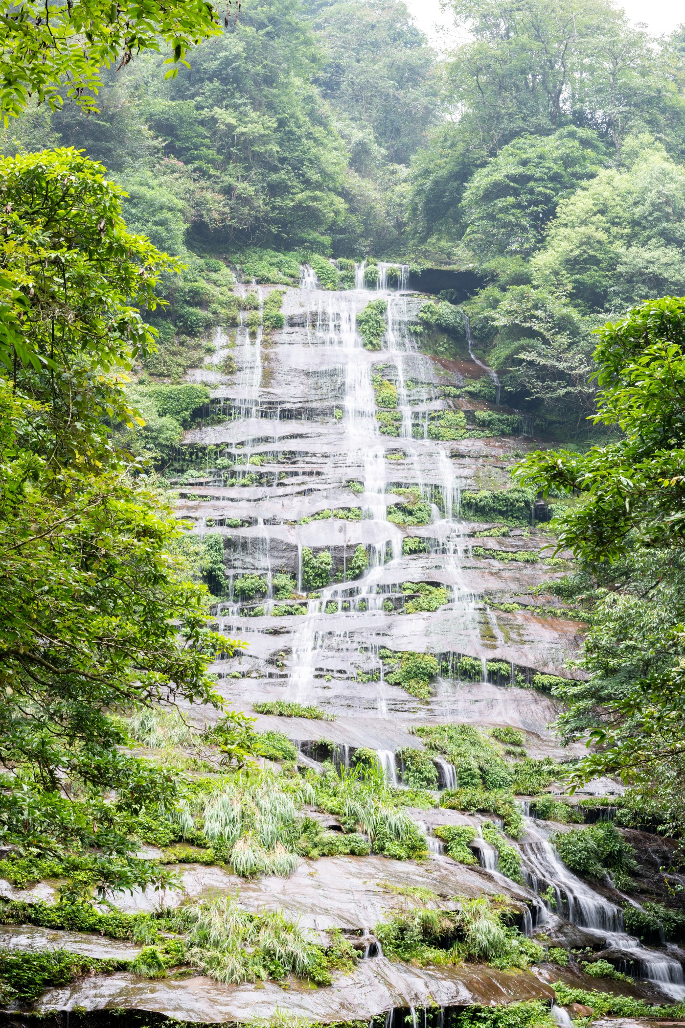 DSC_1375_2.JPG