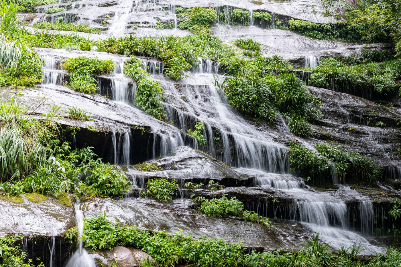 DSC_1377_1.JPG