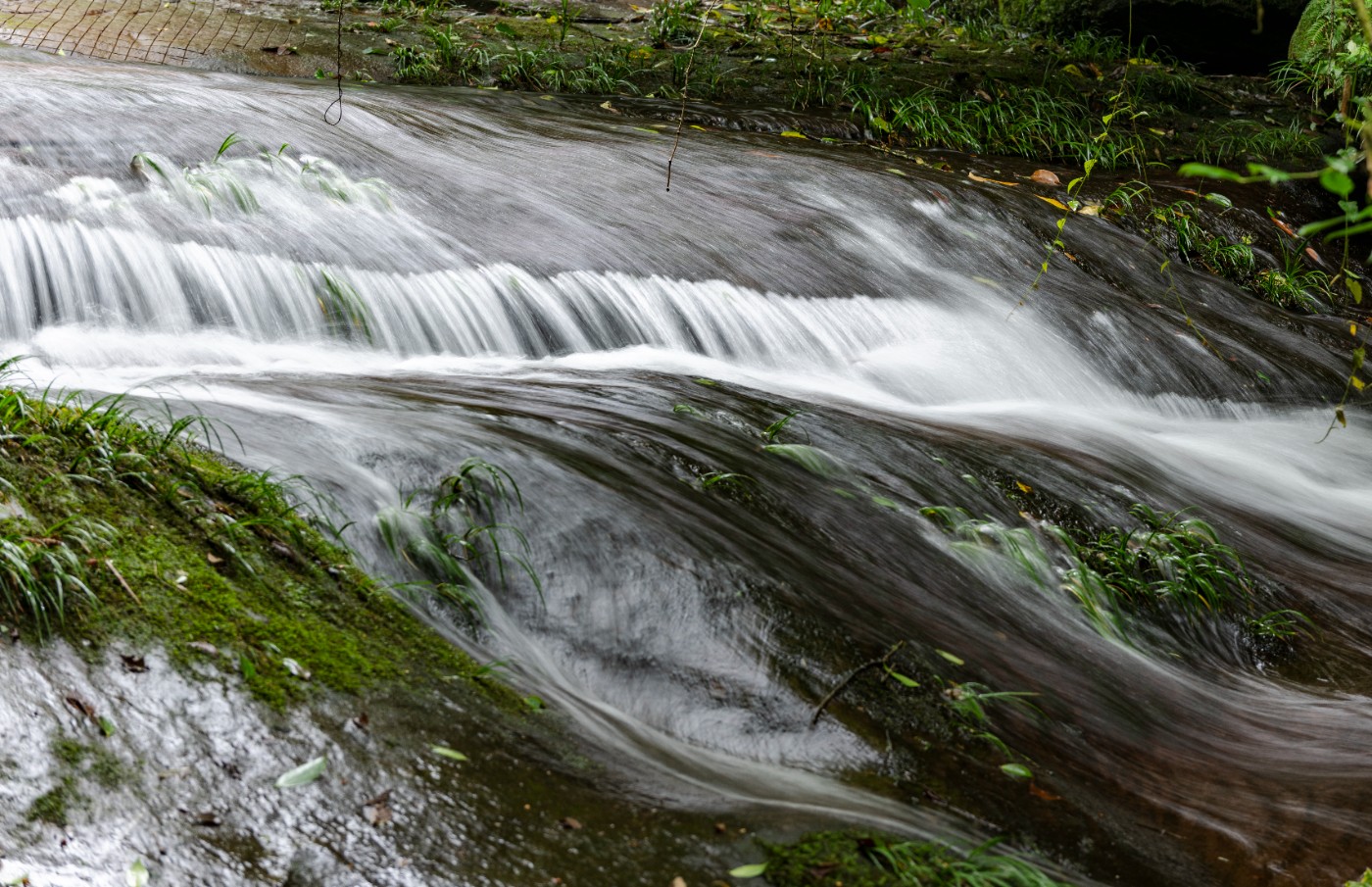 DSC_1380_1.JPG