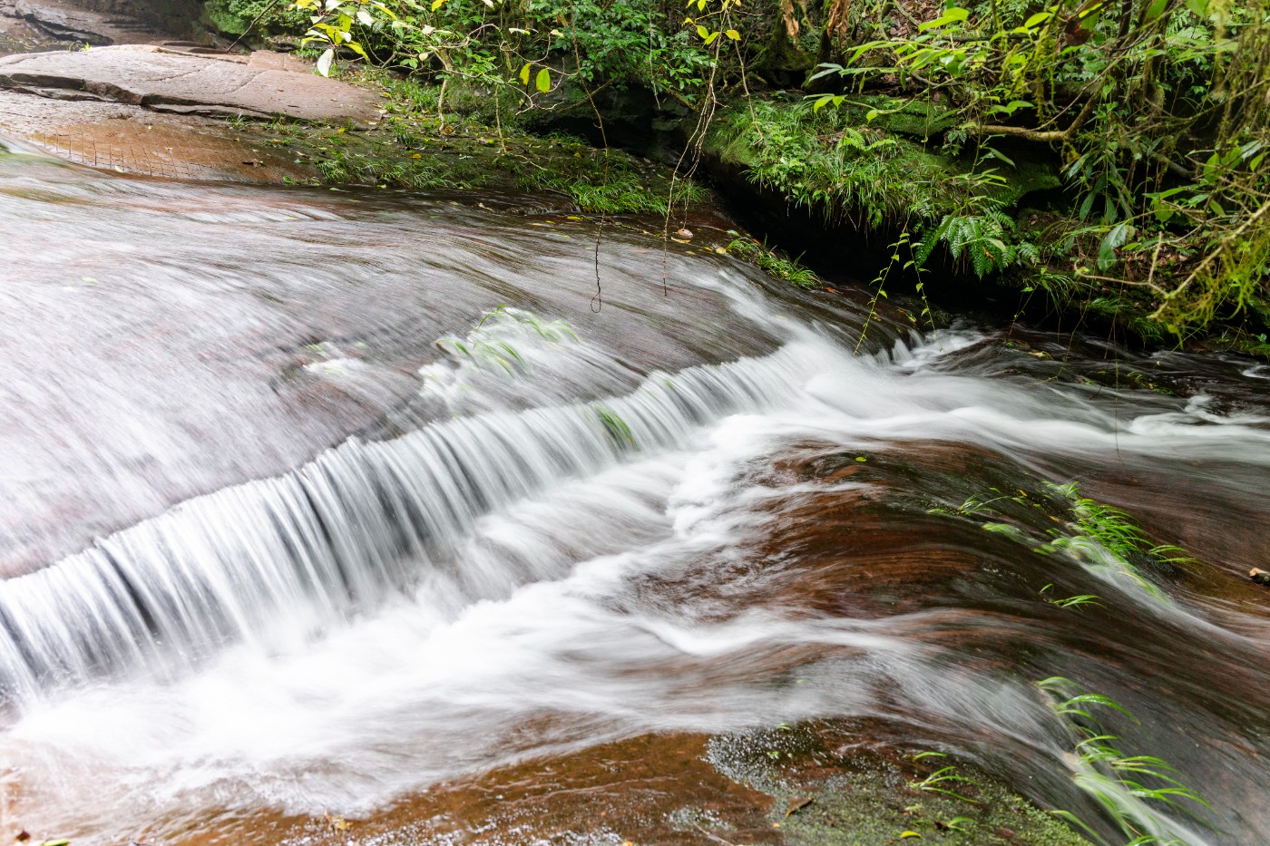 DSC_1381_1.JPG