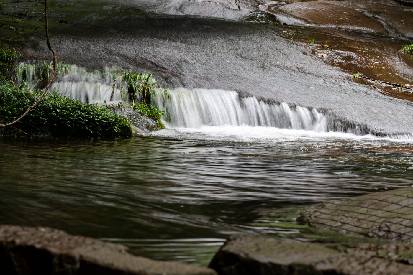 DSC_1382_1.JPG
