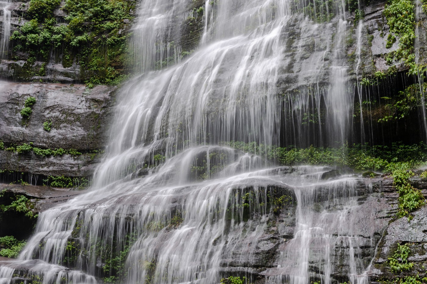 DSC_1390_1.JPG