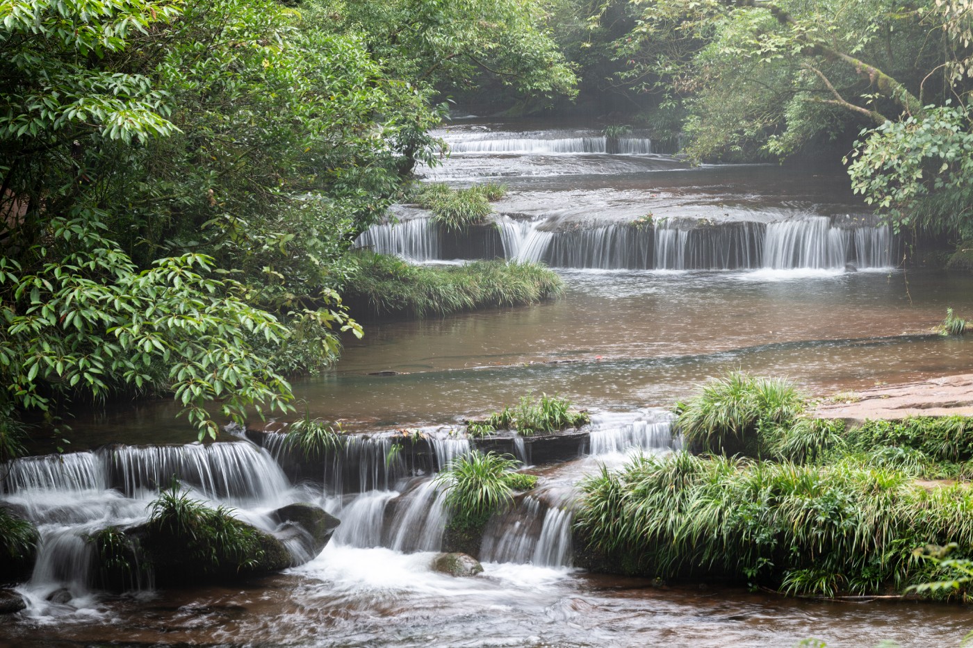 DSC_1394_1.JPG