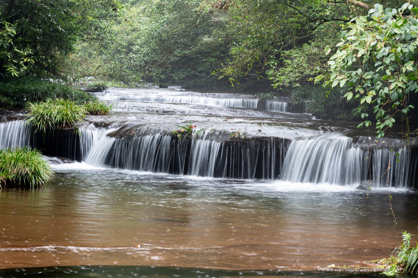 DSC_1397_1.JPG