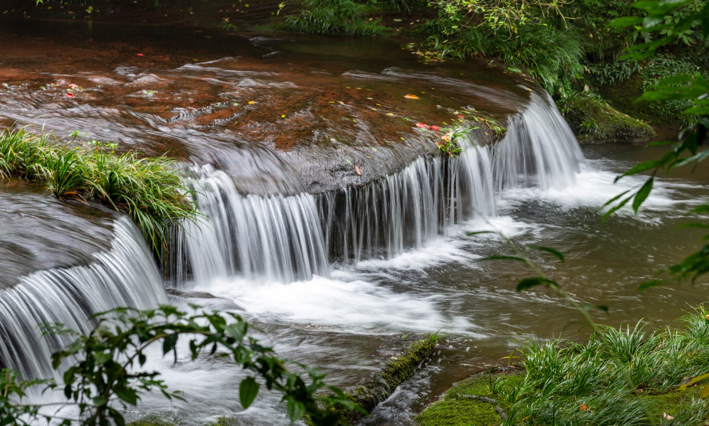 DSC_1398_1.JPG