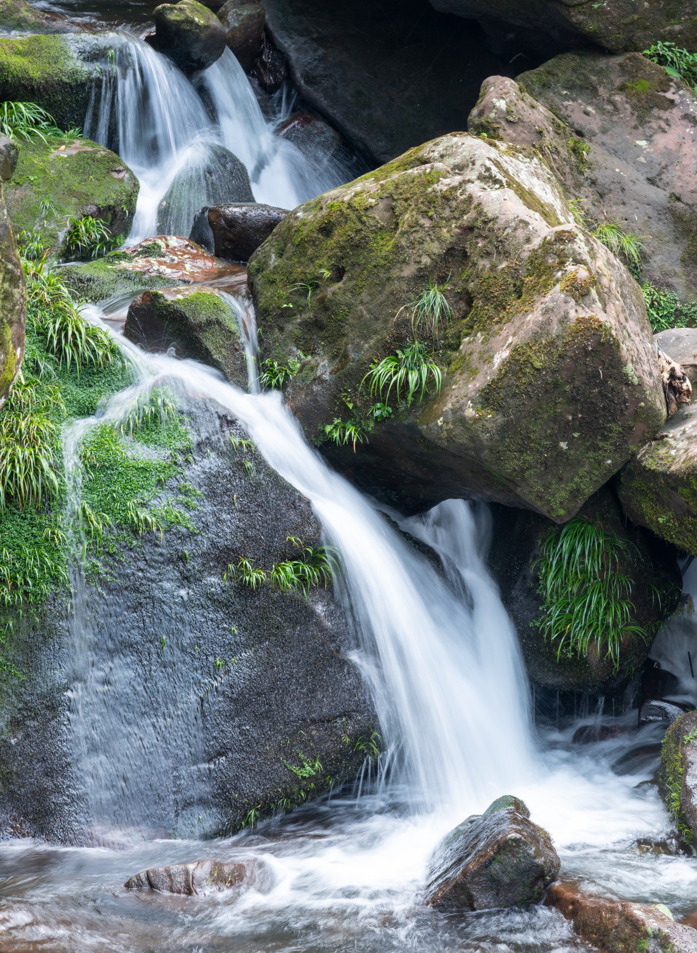 DSC_1407_1.JPG
