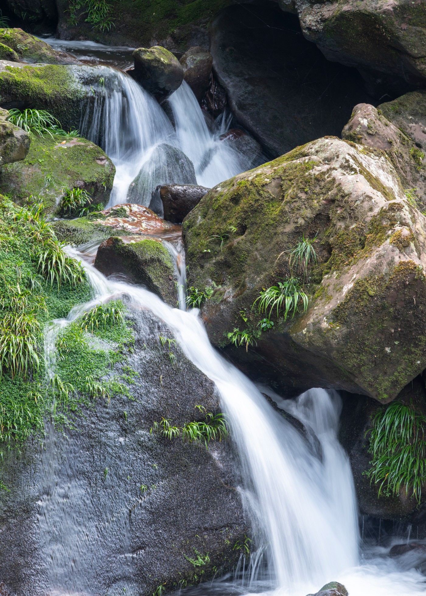 DSC_1409_1.JPG