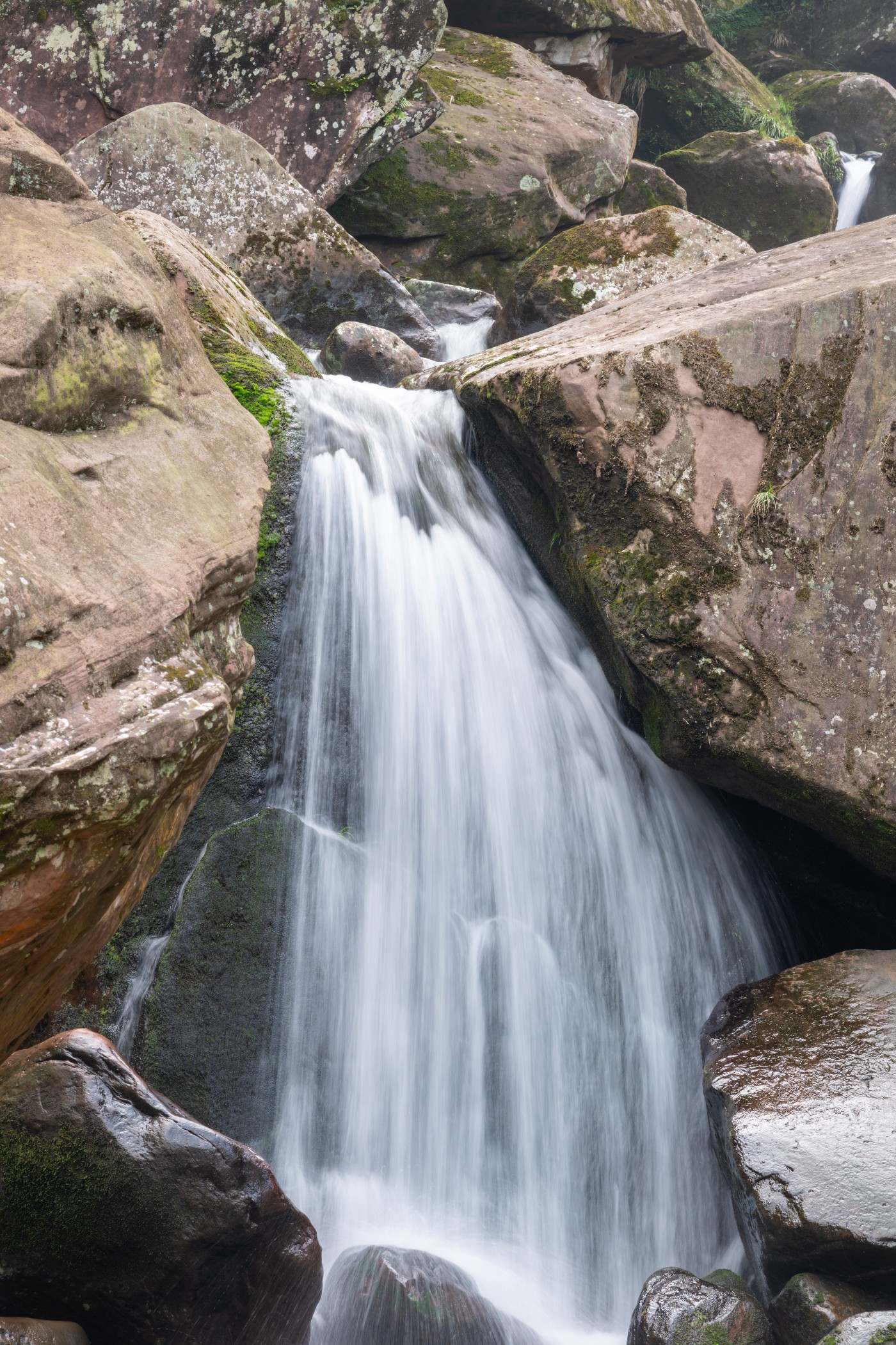 DSC_1411_1.JPG