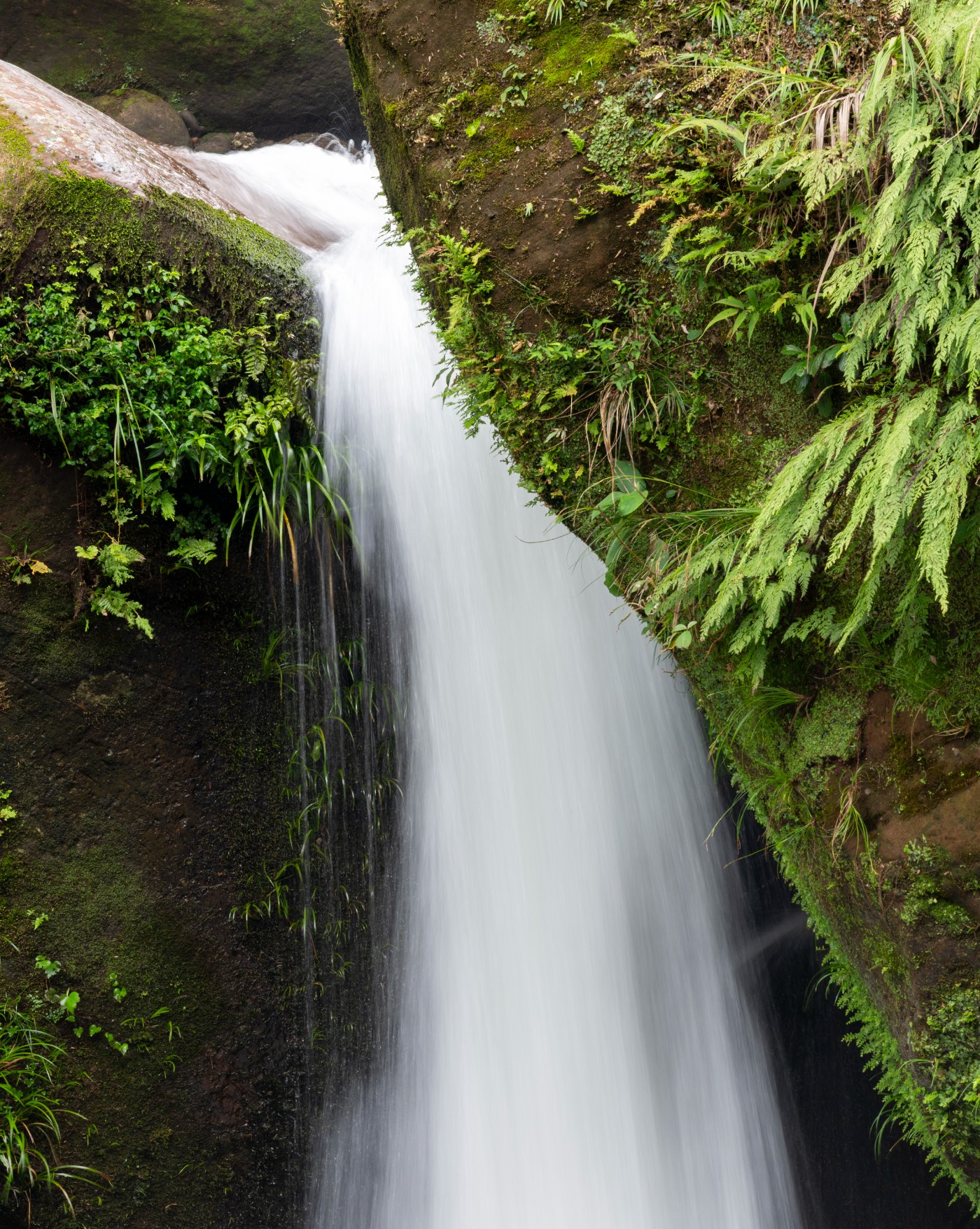 DSC_1417_1.JPG