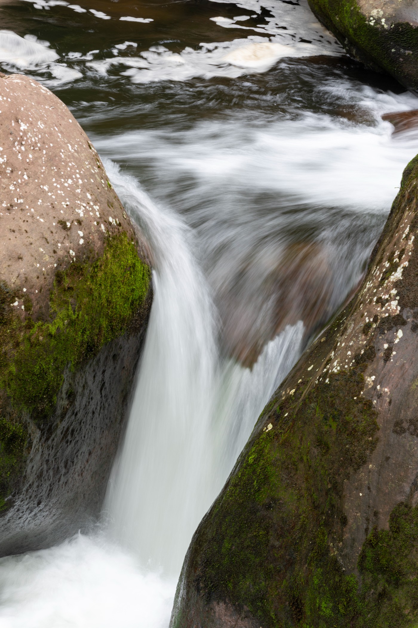 DSC_1418_1.JPG