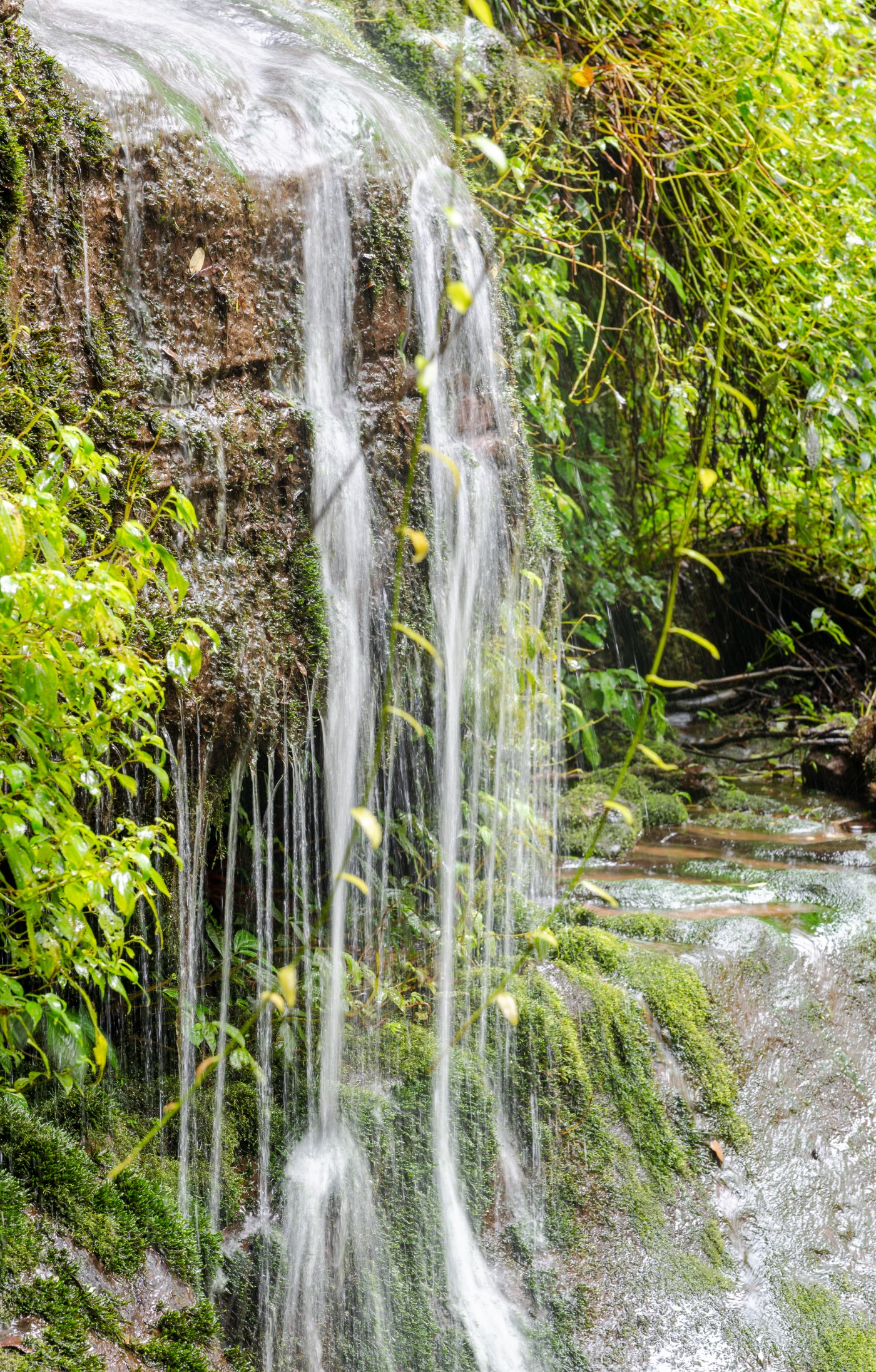 DSC_1422_1.JPG