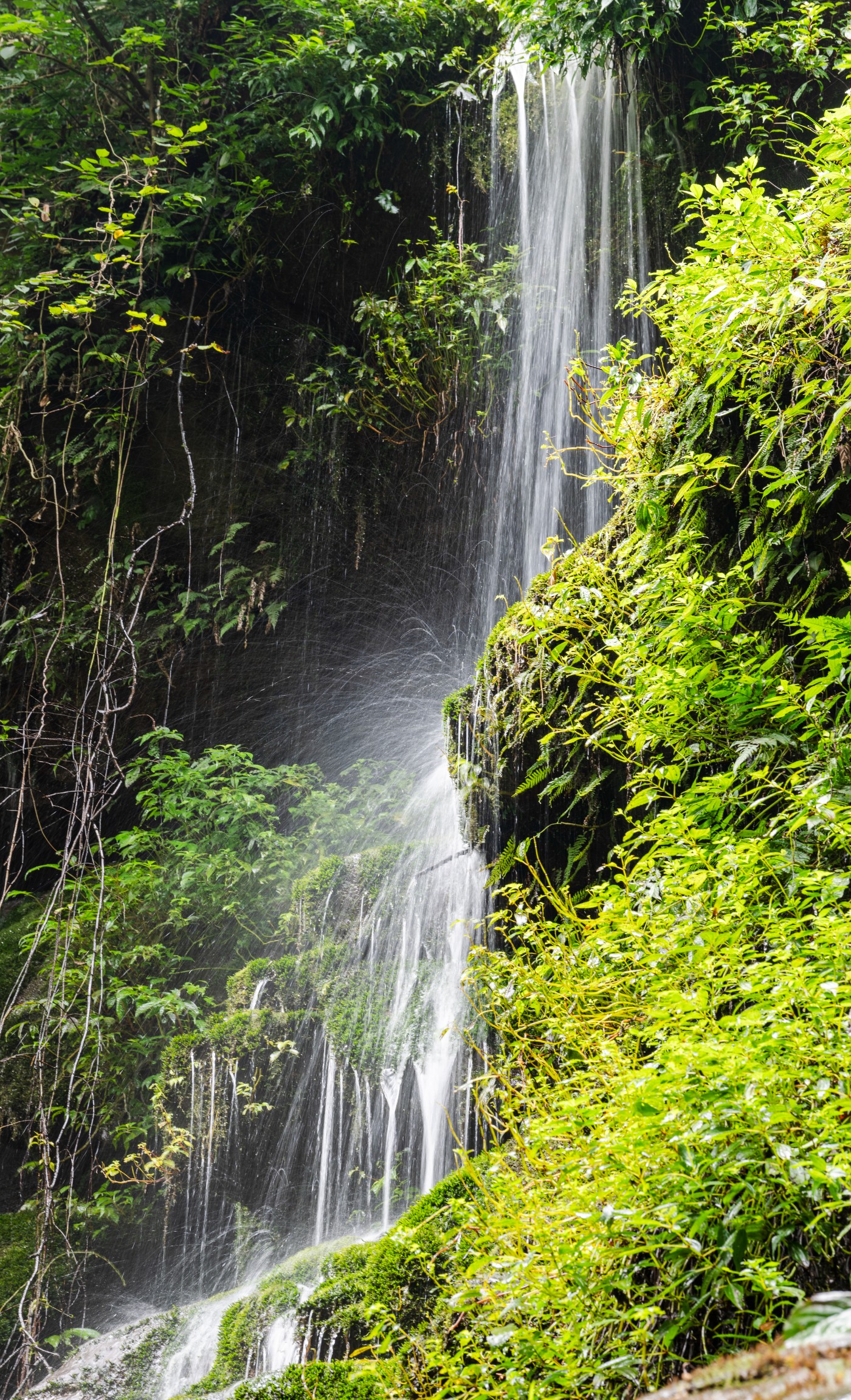 DSC_1432_1.JPG