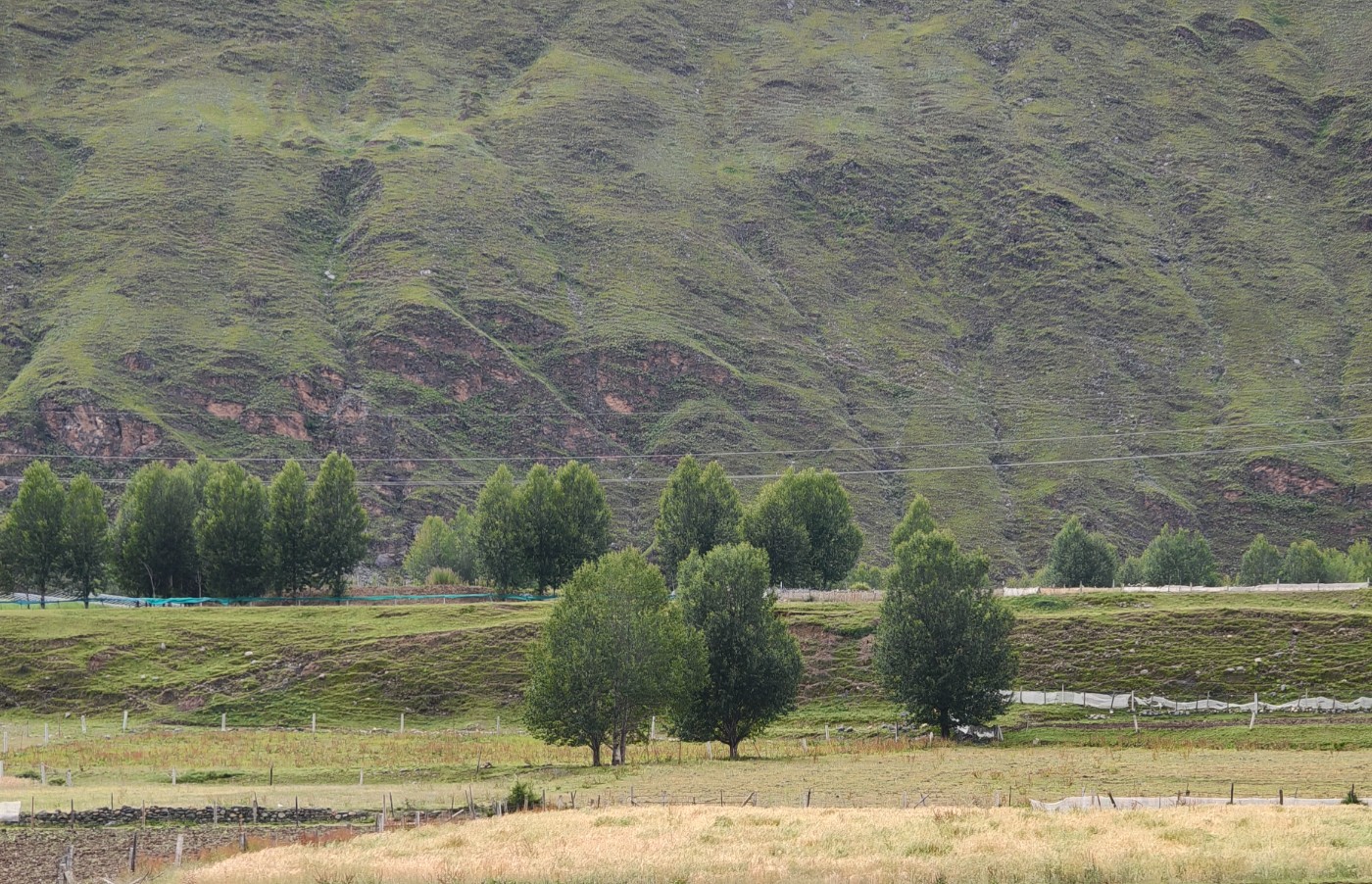 ΢��ͼƬ_20260811194720_532_62(1).jpg
