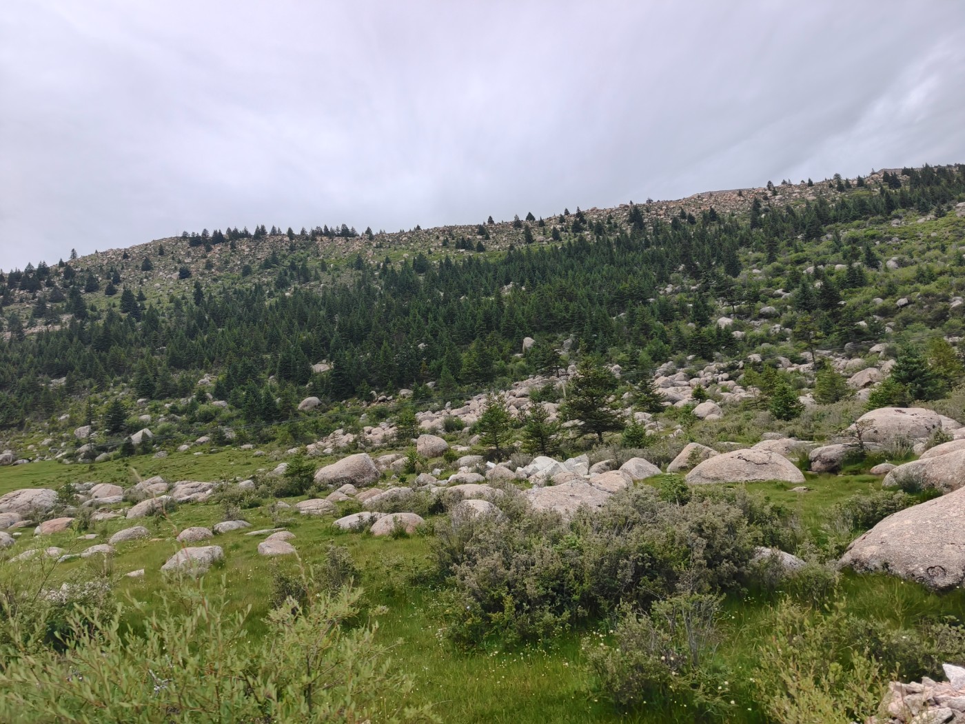 ΢��ͼƬ_20260811193822_374_62.jpg