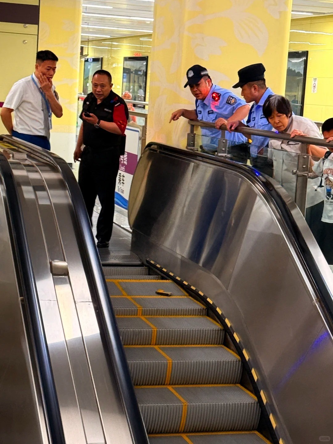 �ɶ�����������վ���¹���_2_lemon tree_����С������ҳ��.jpg
