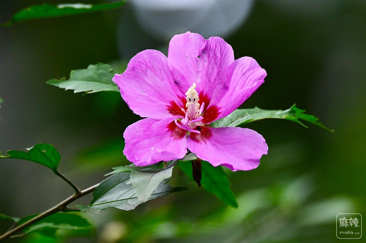 DSC_6206.JPG