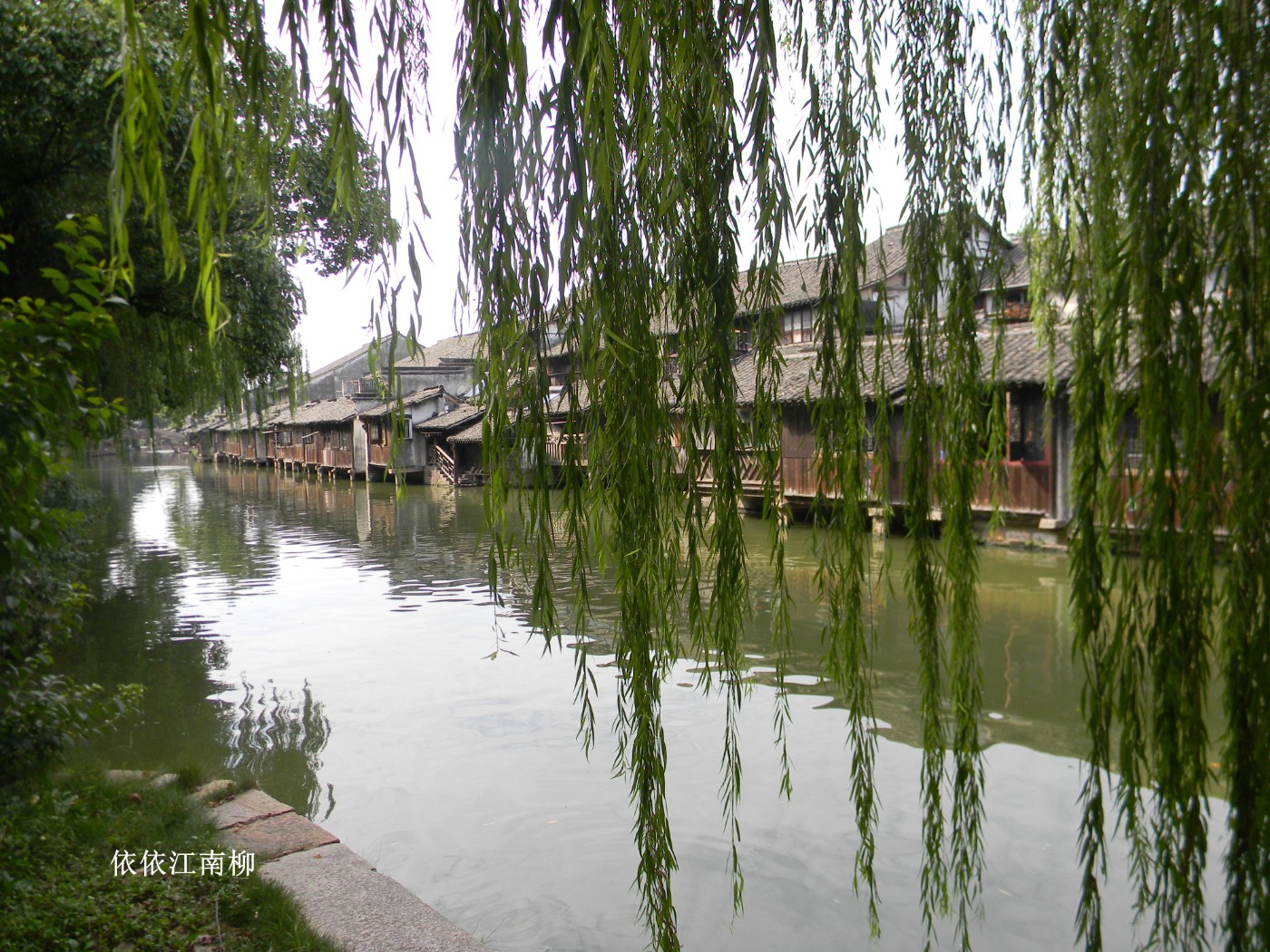 DSCN7364.JPG