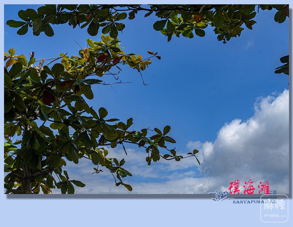 33����豺�̲.jpg