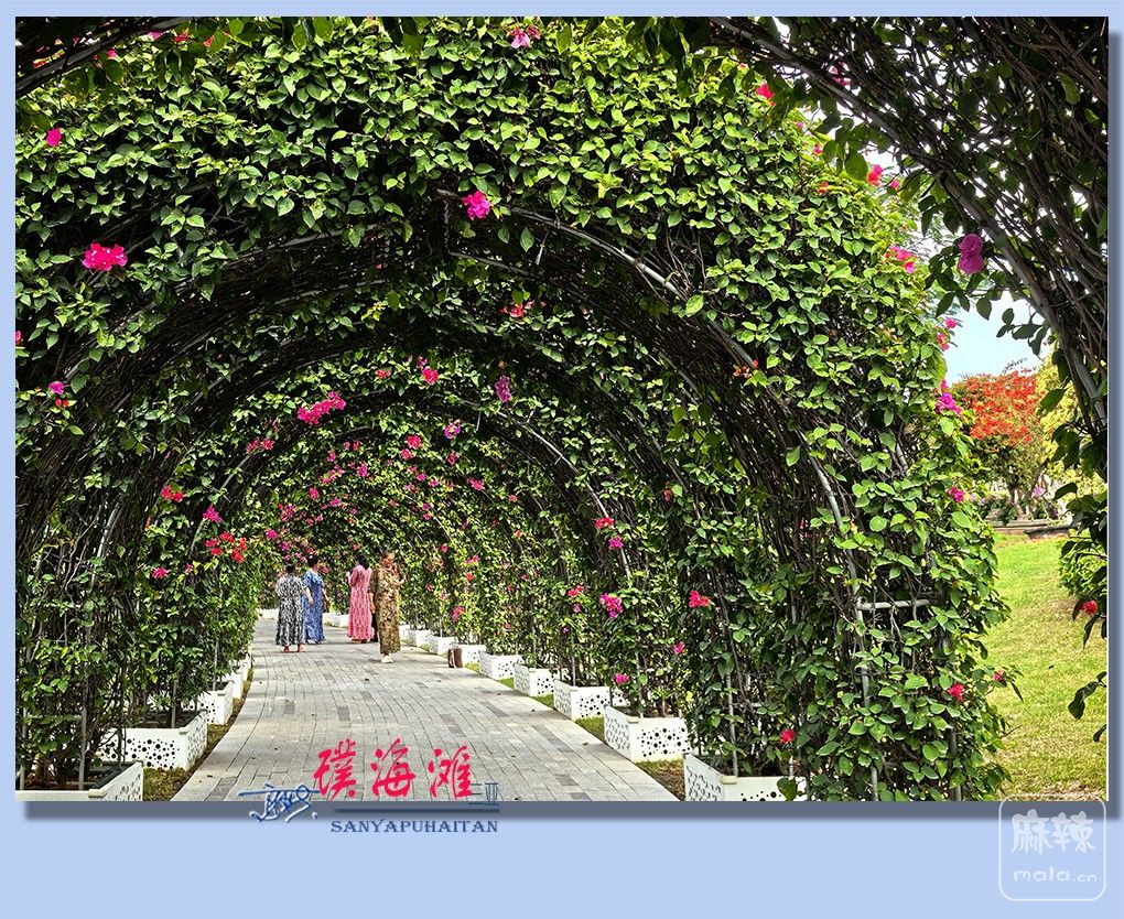 30����豺�̲.jpg