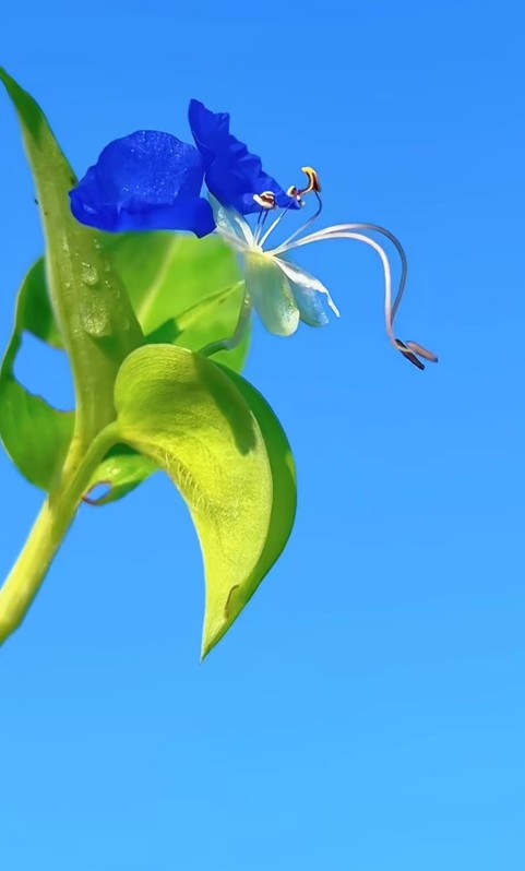 ScreenShot_2026-08-29_090536_666.png