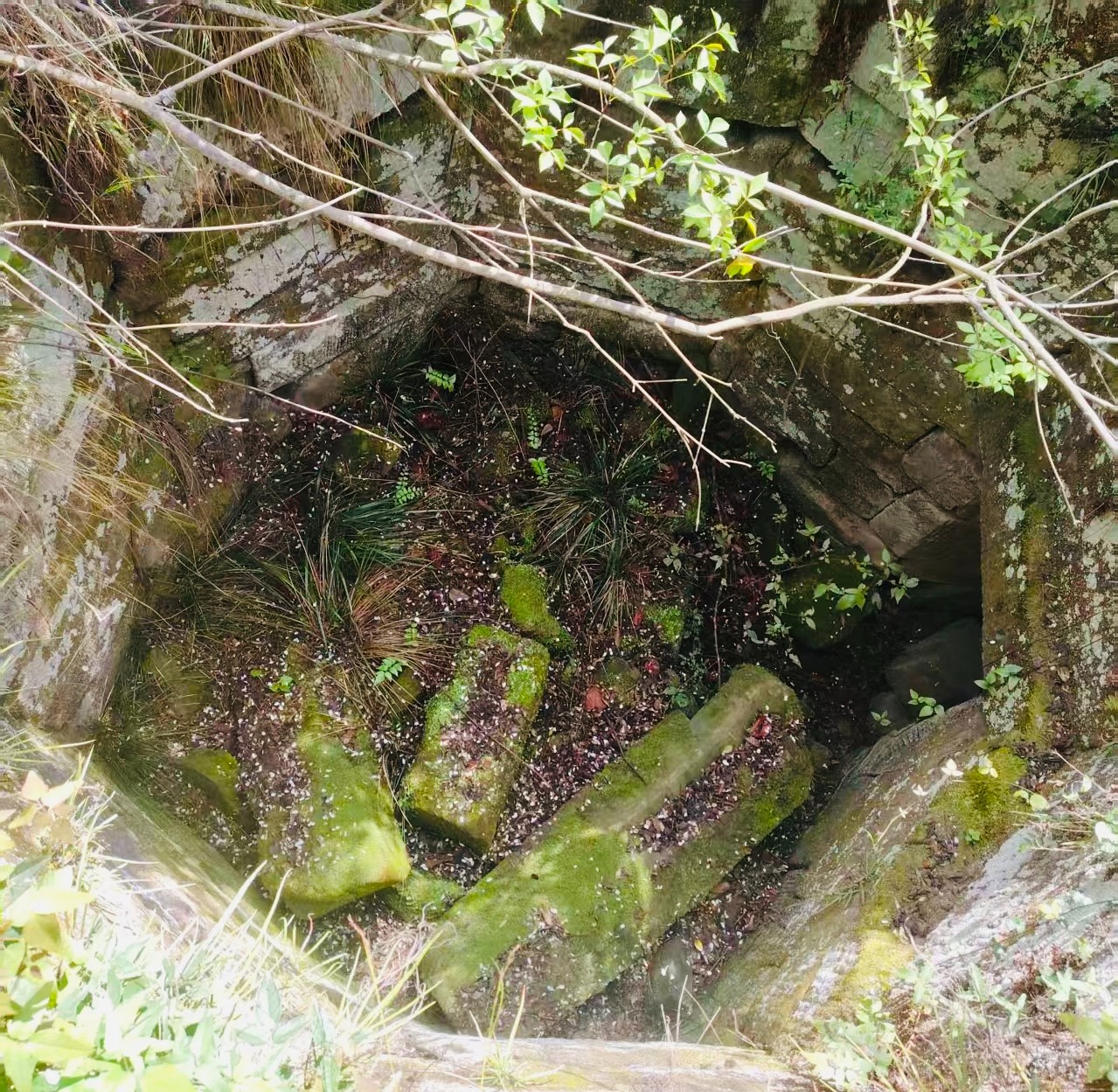 11.JPG