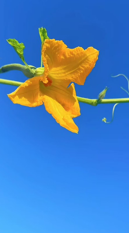 ScreenShot_2026-08-28_183410_401.png