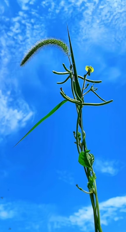 ScreenShot_2026-08-28_183524_001.png