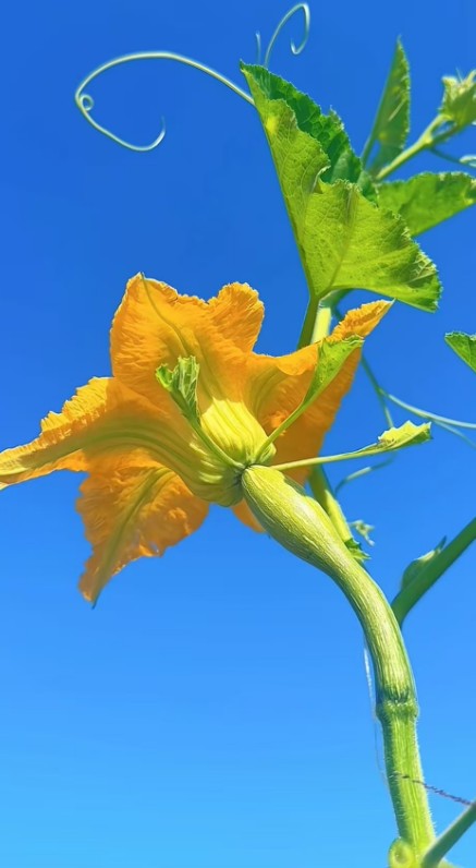 ScreenShot_2026-08-28_183431_873.png