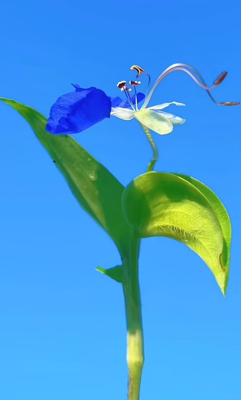 ScreenShot_2026-08-29_090614_521.png