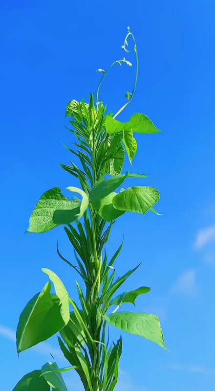 ScreenShot_2026-08-29_091204_800.png