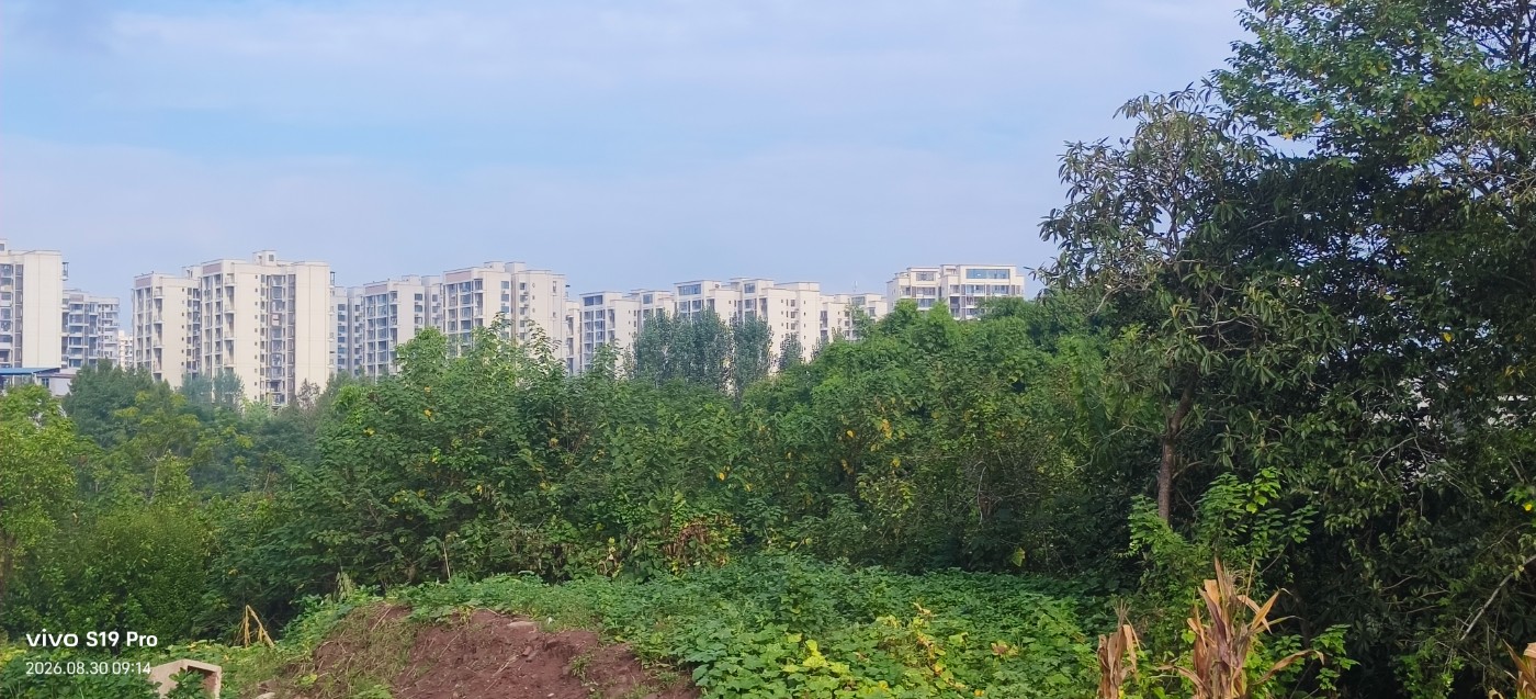 ΢��ͼƬ_20260830095017.jpg