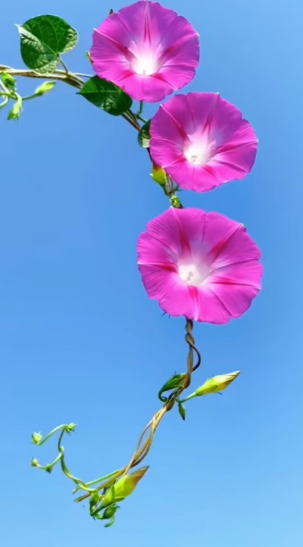 ScreenShot_2026-08-30_220926_516.png